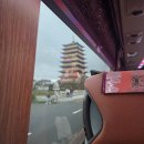 더 케이 무인 호텔 | 경주 펫호텔 반려동물 동반 숙소 후기 더케이호텔 가족여행 추천