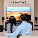 중앙정보시스템(중앙I.S.) 이미지