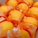 석희농장 이미지