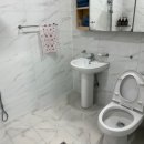 더 화이트벨리 이미지