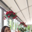 디어헤어(DEAR HAIR) 이미지