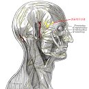 이개의한의원 이미지