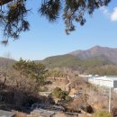 창원 제포진성 이미지