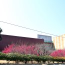 조희룡미술관 | 신안 우봉 조희룡 미술관 (2025. 03.)