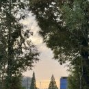 알리, 한동준 위드 오케스트라 이미지