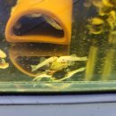 안시농장 이미지