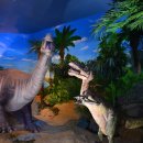 계룡산자연사박물관 이미지