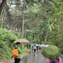 학동한옥펜션 이미지