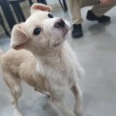 동동