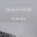 포레드노드