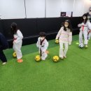 시온태권도 이미지