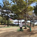 바다가 그리운 나무 | 제주도 서귀포칠십리시공원파크골프장 라운드 후기