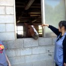 승은농장 이미지