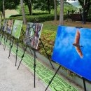 우포따오기 사진전 이미지