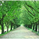 화성길 | 화성길남양재가복지센터 안심하고 맡겨요, 어르신 돌봄 후기