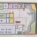 락트리 강남