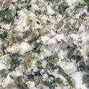 진달래유치원 이미지