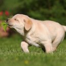 네이처스토리 이미지