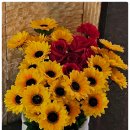 콩나물 노래연습장 이미지