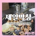 댕댕박사 | [서울:맛집]서울에서 즐기는 대구 막창! 관악구 최애 막창집 등극! 솔직후기 "제일막창".ver여