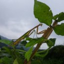 우슬농장 이미지