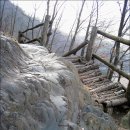 우산천길 Daum카페