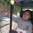 세은농장 이미지