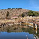 애월읍충혼묘지 | 문희주의 제주오롬 스토리 47. 원물오롬