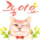 재봉틀로 옷만들기(중급) 이미지