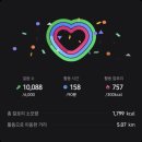 논산홈플러스약국 | 대학생의 크로스핏 일기 (크로스핏 논산)