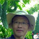 이영우농장 이미지