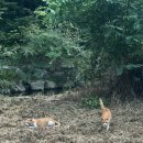 여주-0825 네이버블로그