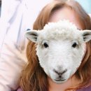 김정아미용실