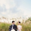라벨르제니 네이버블로그