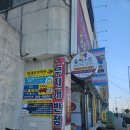 무지개반점 이미지