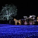 별빛정원B 이미지