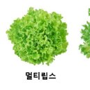 수경청과 이미지