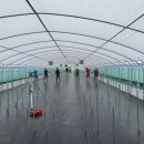 (주)강선팜 | 하우스공사-고설베드공사2~3일차