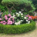 광주농장 이미지