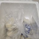 더베이크 광안점 | 국내 최초 모찌빵 전문점 베이크백 - 베이크백 광안 택배 후기