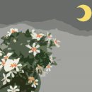 시가 있는 저녁 이미지