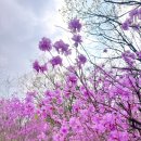 청계산 원터골쉼터 화장실 | 서울 근교 등산 추천｜청계산 원터골입구~진달래능선 코스 &amp; 매봉 등산코스 총정리