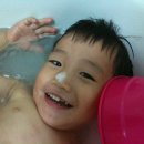 해보 Daum카페