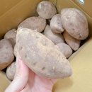 주식회사 더 샘터 네이버블로그