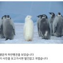 펭귄PC방 이미지