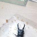 털보네농장 이미지