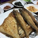 손가해맑금퓨전