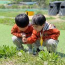 금빛유치원 이미지