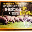 돈이요막창 이미지
