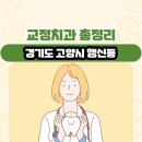 세호치과의원 | 경기도 고양시 행신동 교정치과 총정리